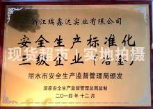 浙江瑞鑫達實業(yè)有限公司,安全生產(chǎn)標準化